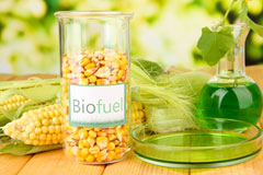 Salta biofuel availability